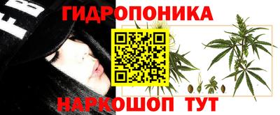 трава Можайск
